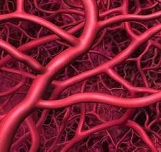 1691981990428617.png 图片 4.png